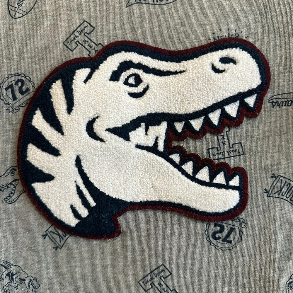 Boys’ Dinosaur sweatshirt New with Tags size 10 with cute plaid elbow patch - Picture 7 of 7